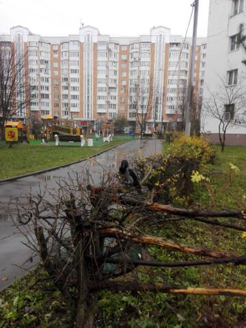 http://upforme.ru/uploads/001a/f0/62/3/t31509.jpg