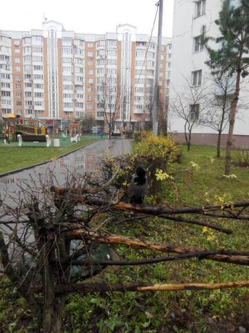 http://upforme.ru/uploads/001a/f0/62/3/t693732.jpg