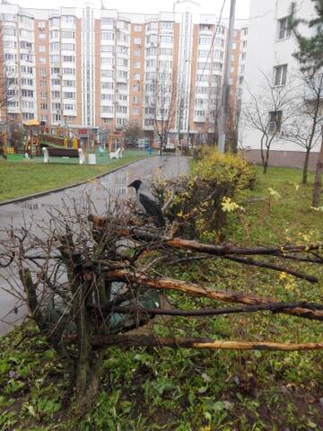 http://upforme.ru/uploads/001a/f0/62/3/t851739.jpg