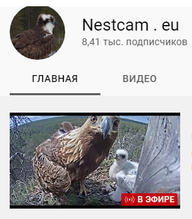 http://upforme.ru/uploads/001a/f0/62/5/t579359.png
