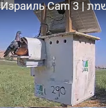 http://upforme.ru/uploads/001a/f0/62/7/t35614.png