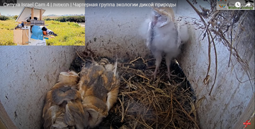 http://upforme.ru/uploads/001a/f0/62/7/t631869.png