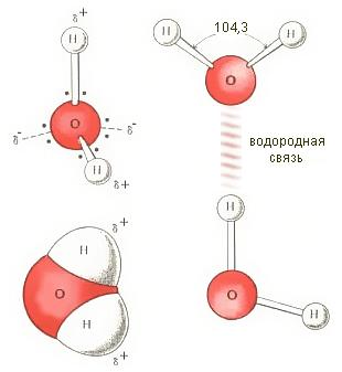 http://upforme.ru/uploads/001a/f2/53/10/t188359.png