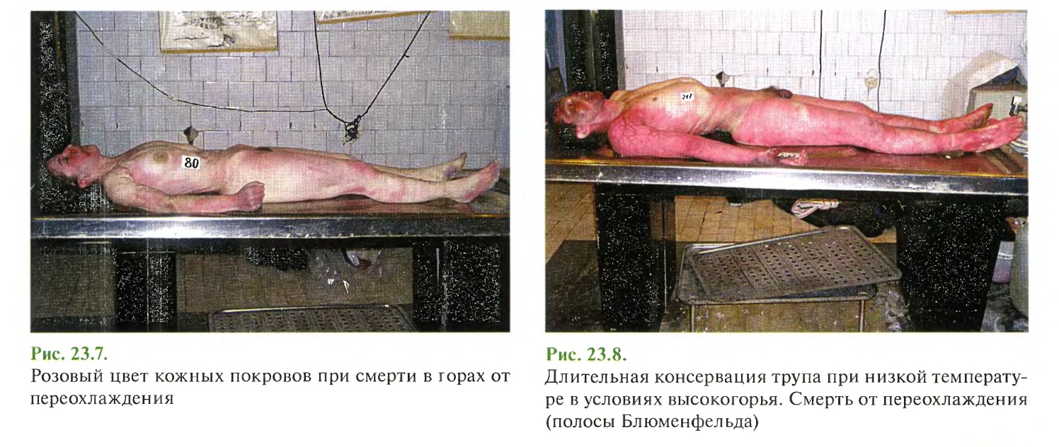 http://upforme.ru/uploads/001a/f5/a1/2/23145.jpg
