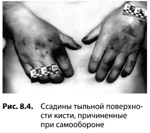http://upforme.ru/uploads/001a/f5/a1/2/304721.jpg