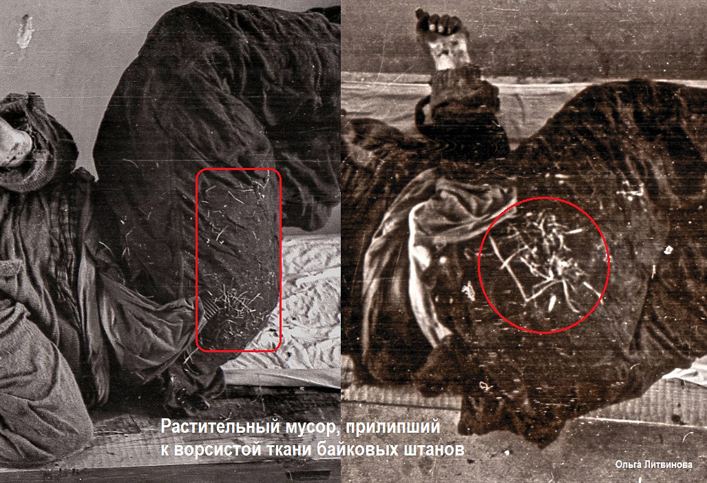 http://upforme.ru/uploads/001a/f5/a1/2/340205.jpg