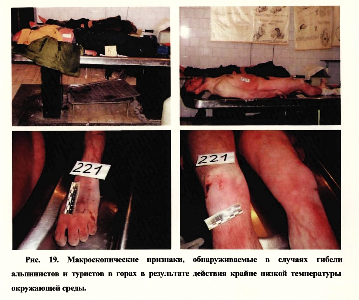 http://upforme.ru/uploads/001a/f5/a1/2/461465.jpg