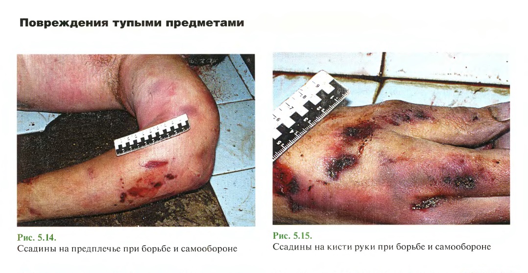 http://upforme.ru/uploads/001a/f5/a1/2/517326.jpg