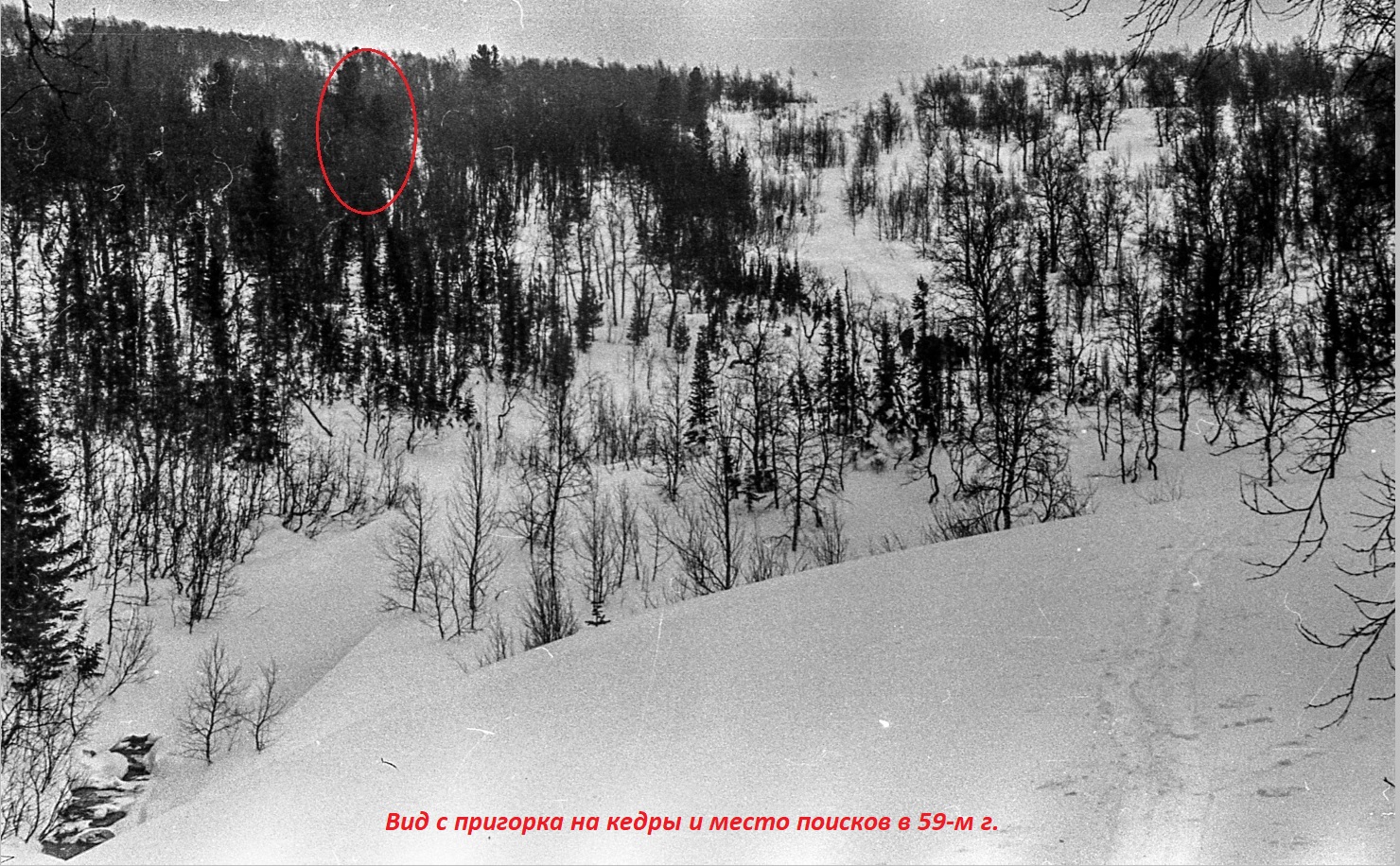 http://upforme.ru/uploads/001a/f5/a1/2/734468.jpg