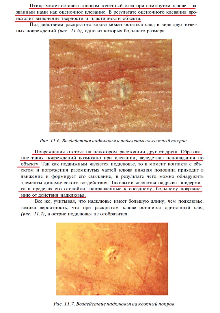 http://upforme.ru/uploads/001a/f5/a1/2/769905.jpg