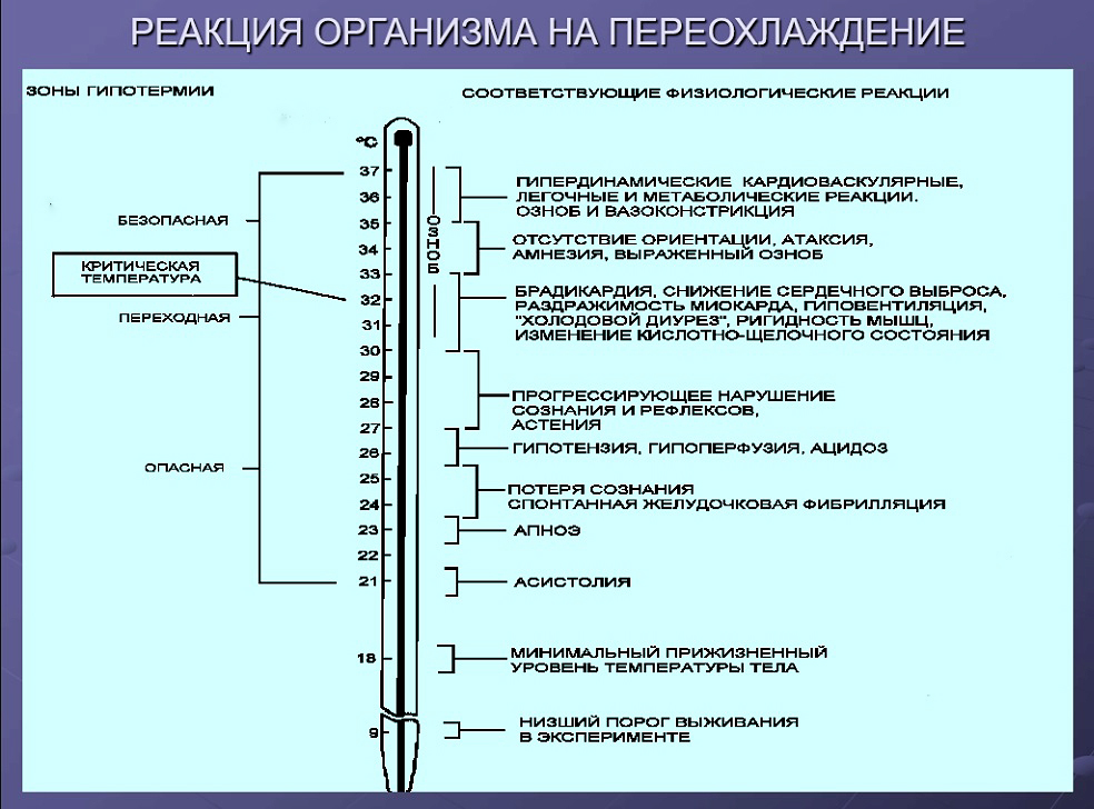 http://upforme.ru/uploads/001a/f5/a1/2/909803.jpg