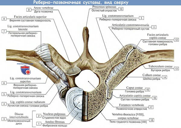 http://upforme.ru/uploads/001a/f5/a1/2/t119684.jpg