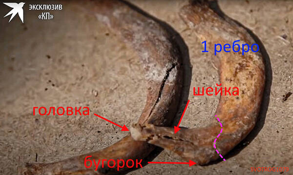 http://upforme.ru/uploads/001a/f5/a1/2/t13361.jpg