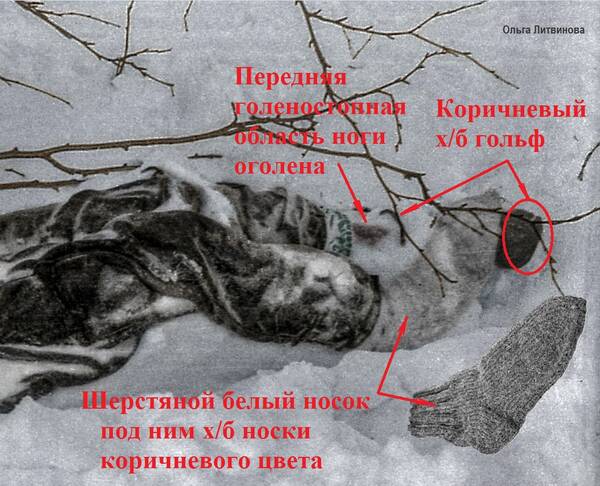 http://upforme.ru/uploads/001a/f5/a1/2/t183075.jpg