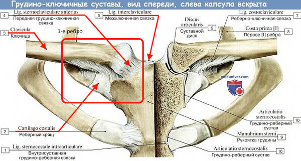 http://upforme.ru/uploads/001a/f5/a1/2/t195596.jpg