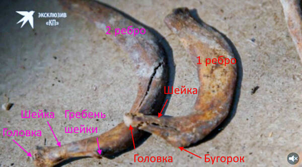 http://upforme.ru/uploads/001a/f5/a1/2/t213451.jpg