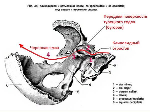 http://upforme.ru/uploads/001a/f5/a1/2/t42303.jpg