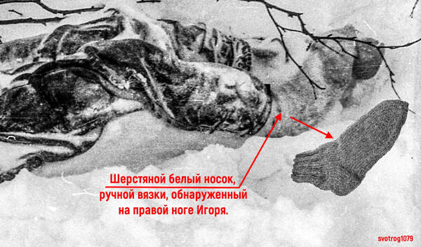 http://upforme.ru/uploads/001a/f5/a1/2/t456451.jpg