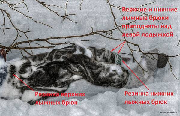 http://upforme.ru/uploads/001a/f5/a1/2/t618505.jpg