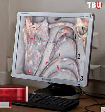 http://upforme.ru/uploads/001a/f5/a1/2/t722863.jpg