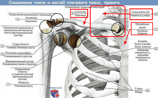 http://upforme.ru/uploads/001a/f5/a1/2/t779326.jpg