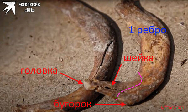 http://upforme.ru/uploads/001a/f5/a1/2/t790603.jpg
