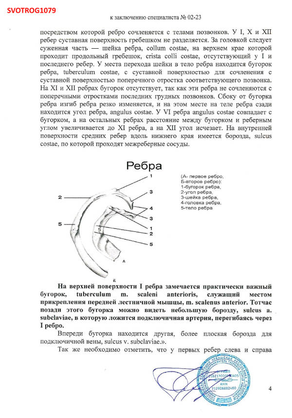 http://upforme.ru/uploads/001a/f5/a1/2/t870103.jpg