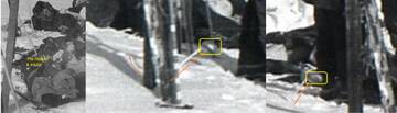 http://upforme.ru/uploads/001a/f5/a1/21/t221867.jpg