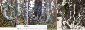 http://upforme.ru/uploads/001a/f5/a1/21/t652058.jpg