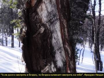 http://upforme.ru/uploads/001a/f5/a1/21/t683795.jpg