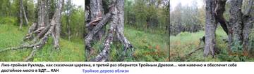http://upforme.ru/uploads/001a/f5/a1/21/t84629.jpg