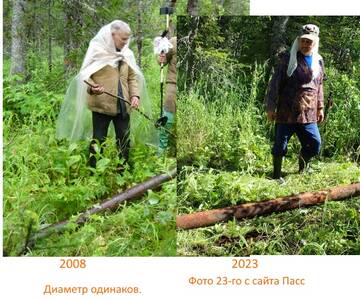 http://upforme.ru/uploads/001a/f5/a1/3/t786909.jpg