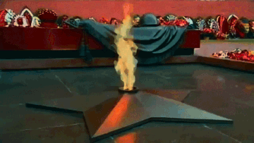 http://upforme.ru/uploads/001a/f5/a1/3/t966167.gif