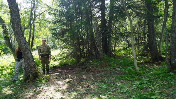 http://upforme.ru/uploads/001a/f5/a1/33/t134882.jpg