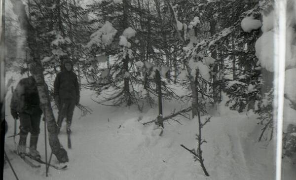 http://upforme.ru/uploads/001a/f5/a1/33/t150664.jpg