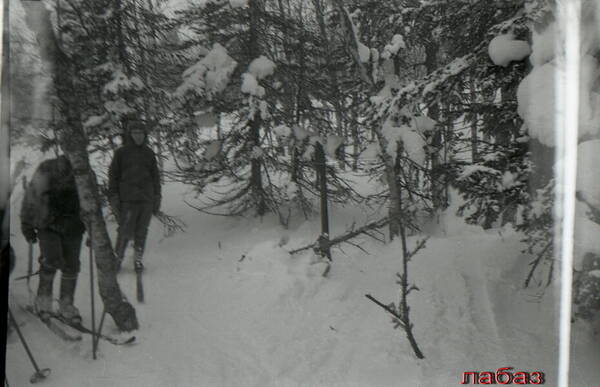 http://upforme.ru/uploads/001a/f5/a1/33/t503626.jpg