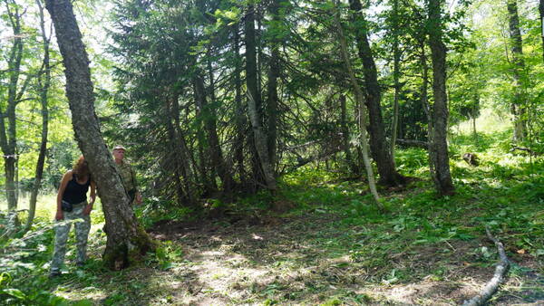 http://upforme.ru/uploads/001a/f5/a1/33/t793523.jpg