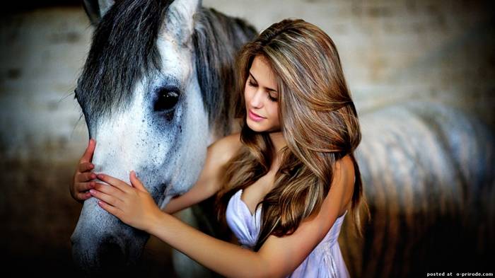 http://upforme.ru/uploads/001a/f7/5d/2/779431.jpg