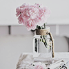 http://upforme.ru/uploads/001a/f9/6e/191/982309.png