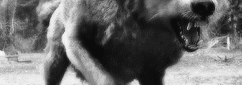 http://upforme.ru/uploads/001a/fb/d7/4/528883.gif