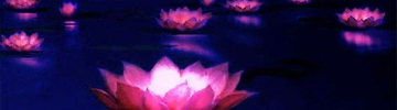 http://upforme.ru/uploads/001a/fd/75/2/91918.png
