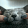 http://upforme.ru/uploads/001a/fd/bb/3/561300.webp