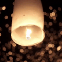 http://upforme.ru/uploads/001a/fd/bb/3/721703.gif