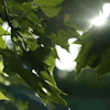 http://upforme.ru/uploads/001a/fd/bb/3/731324.webp