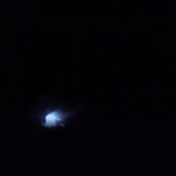 http://upforme.ru/uploads/001a/fd/bb/3/814557.gif