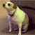 http://upforme.ru/uploads/001a/fd/bb/3/890599.gif