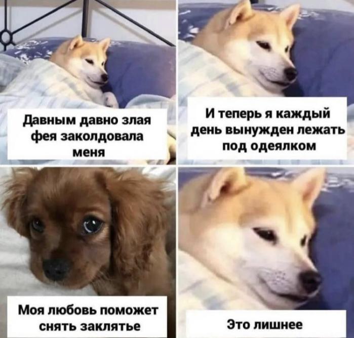 http://upforme.ru/uploads/001a/fd/bb/38/385277.jpg
