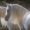 http://upforme.ru/uploads/001a/fd/bb/9/268906.webp