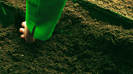 http://upforme.ru/uploads/001a/fe/3a/2/283684.gif