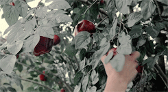 http://upforme.ru/uploads/001a/fe/a7/2/t845123.gif